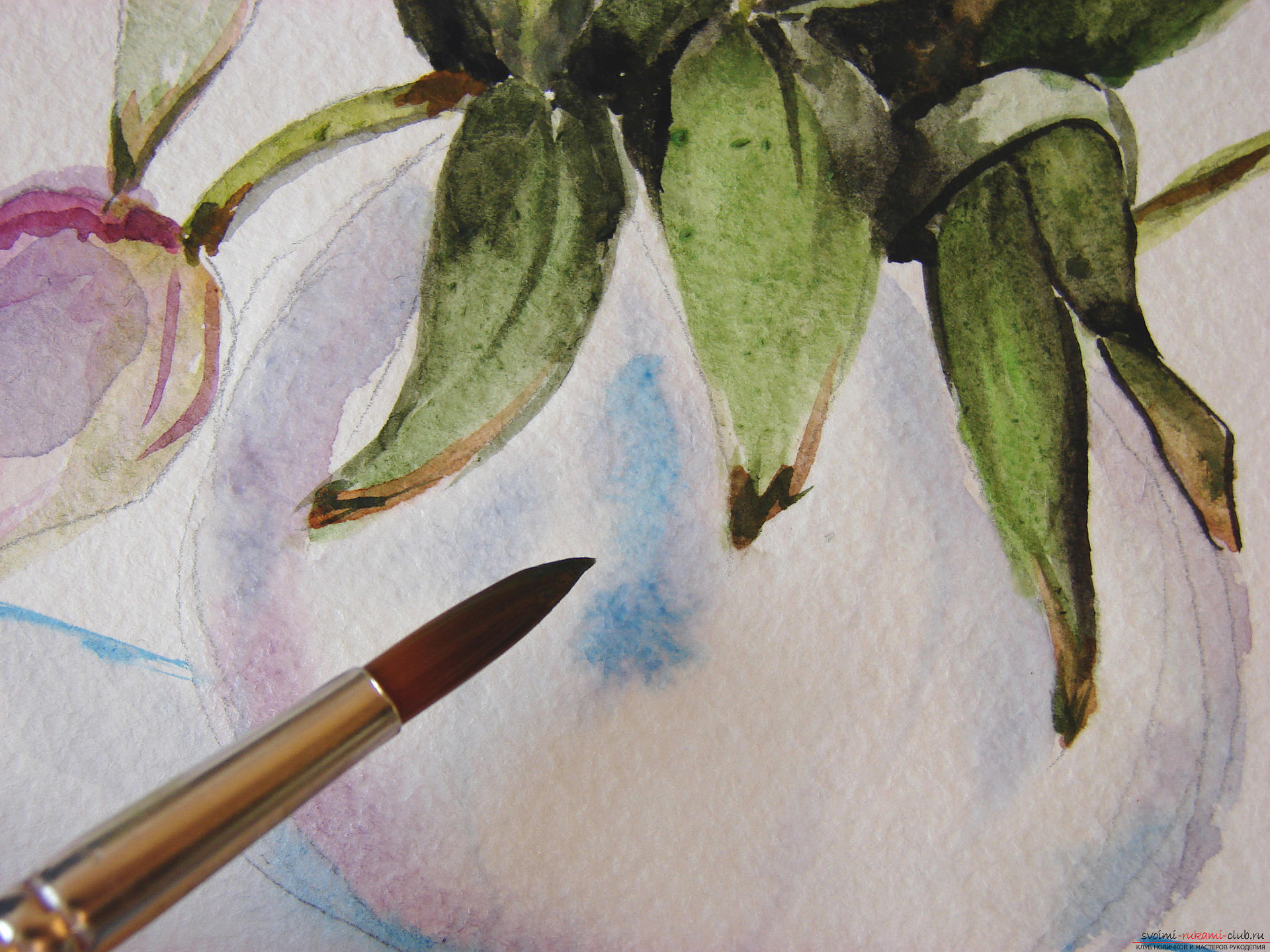 Мастер-класс по рисованию с фото научит как нарисовать цветы, подробно описав как рисуются тюльпаны поэтапно.. Фото №21